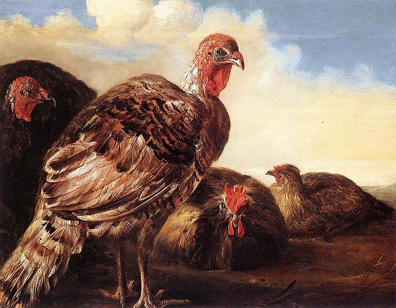 CUYP, Aelbert Domestic Fowl